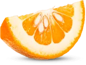 Żołądkowa Gorzka